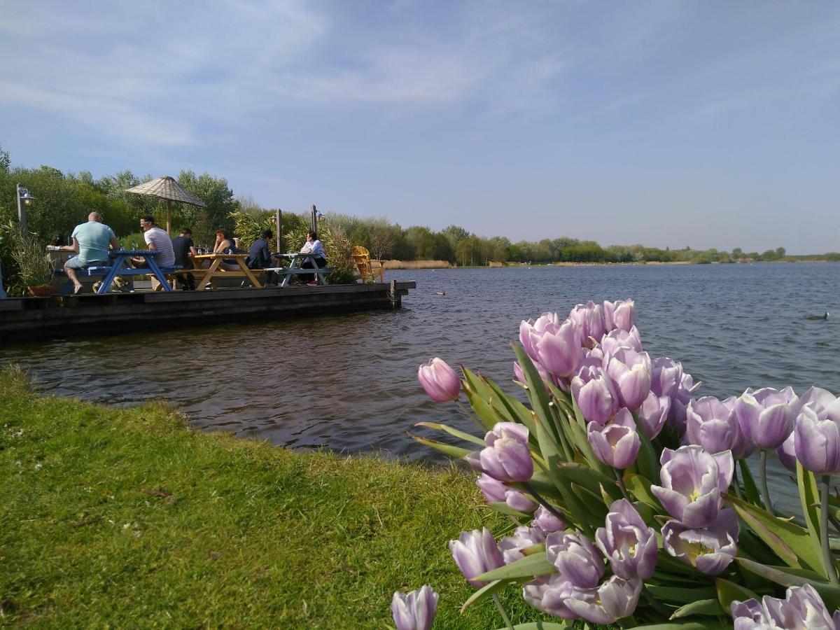 Het Zeepaartje, Knus En Gezellig Villa Noordwijkerhout Kültér fotó