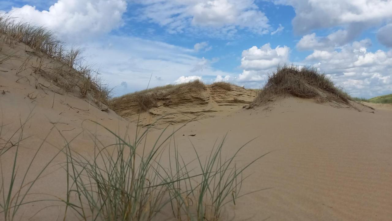 Het Zeepaartje, Knus En Gezellig Villa Noordwijkerhout Kültér fotó